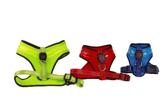 LED Dog Harness – Rechargeable, 3 Glow Modes for Night Walks